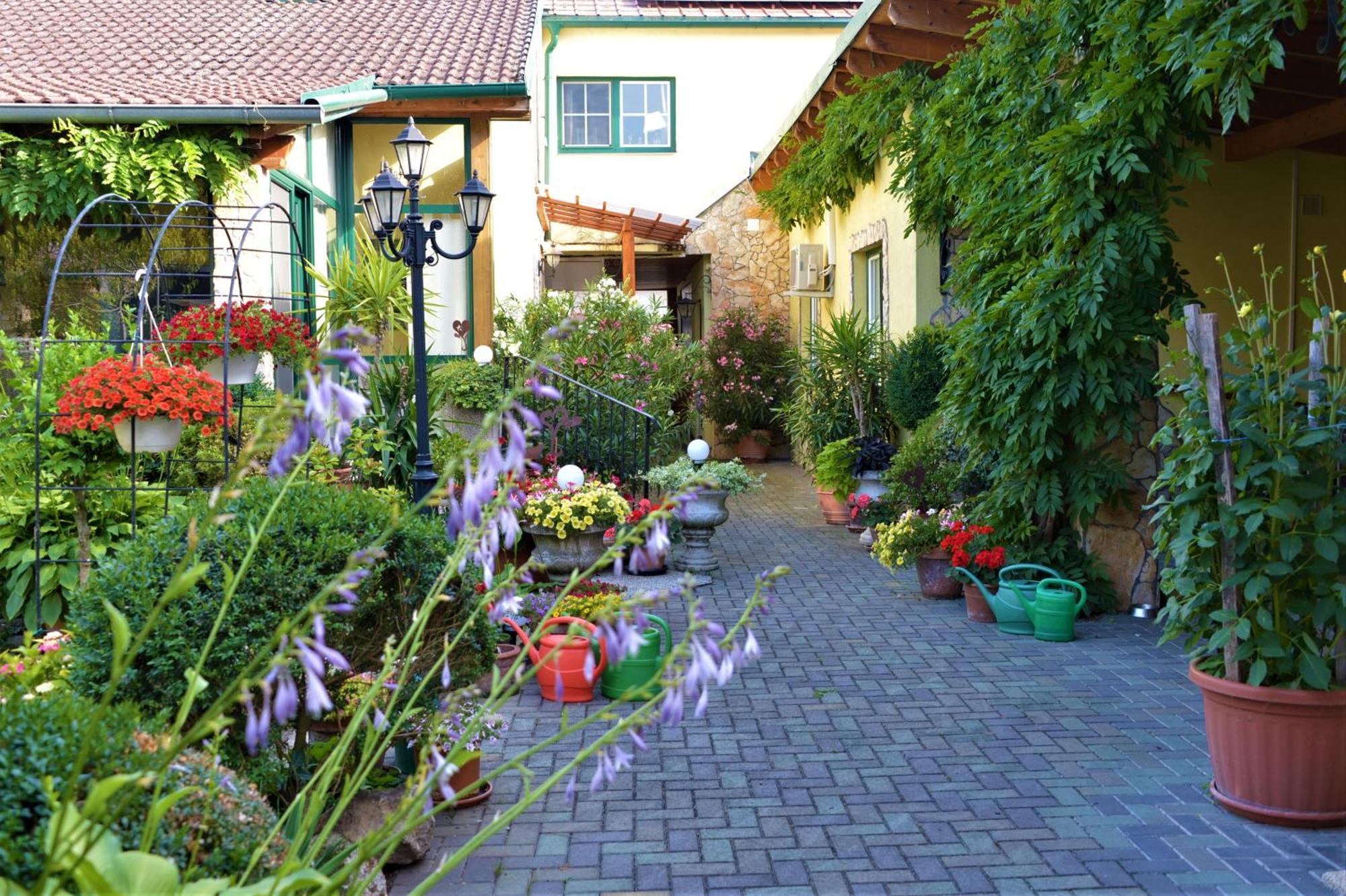 פמהגן Ferienwohnung Koppi מראה חיצוני תמונה