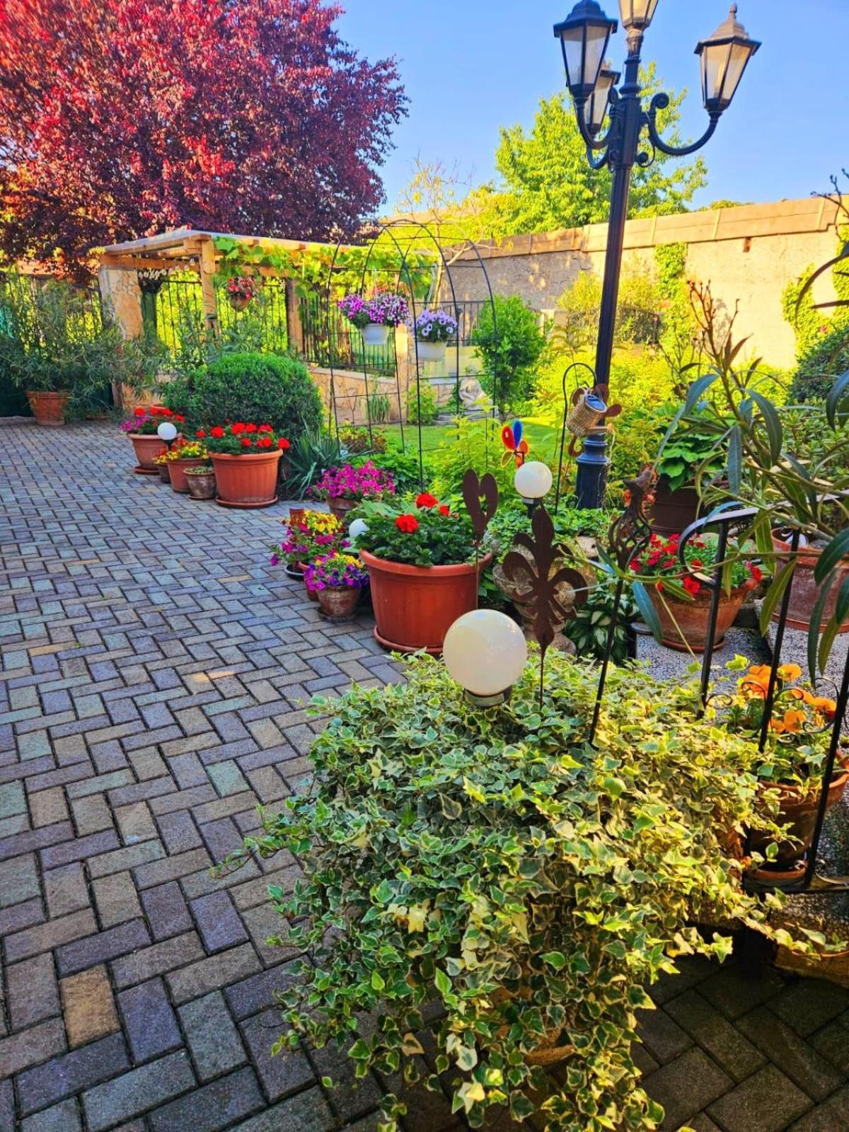 פמהגן Ferienwohnung Koppi מראה חיצוני תמונה