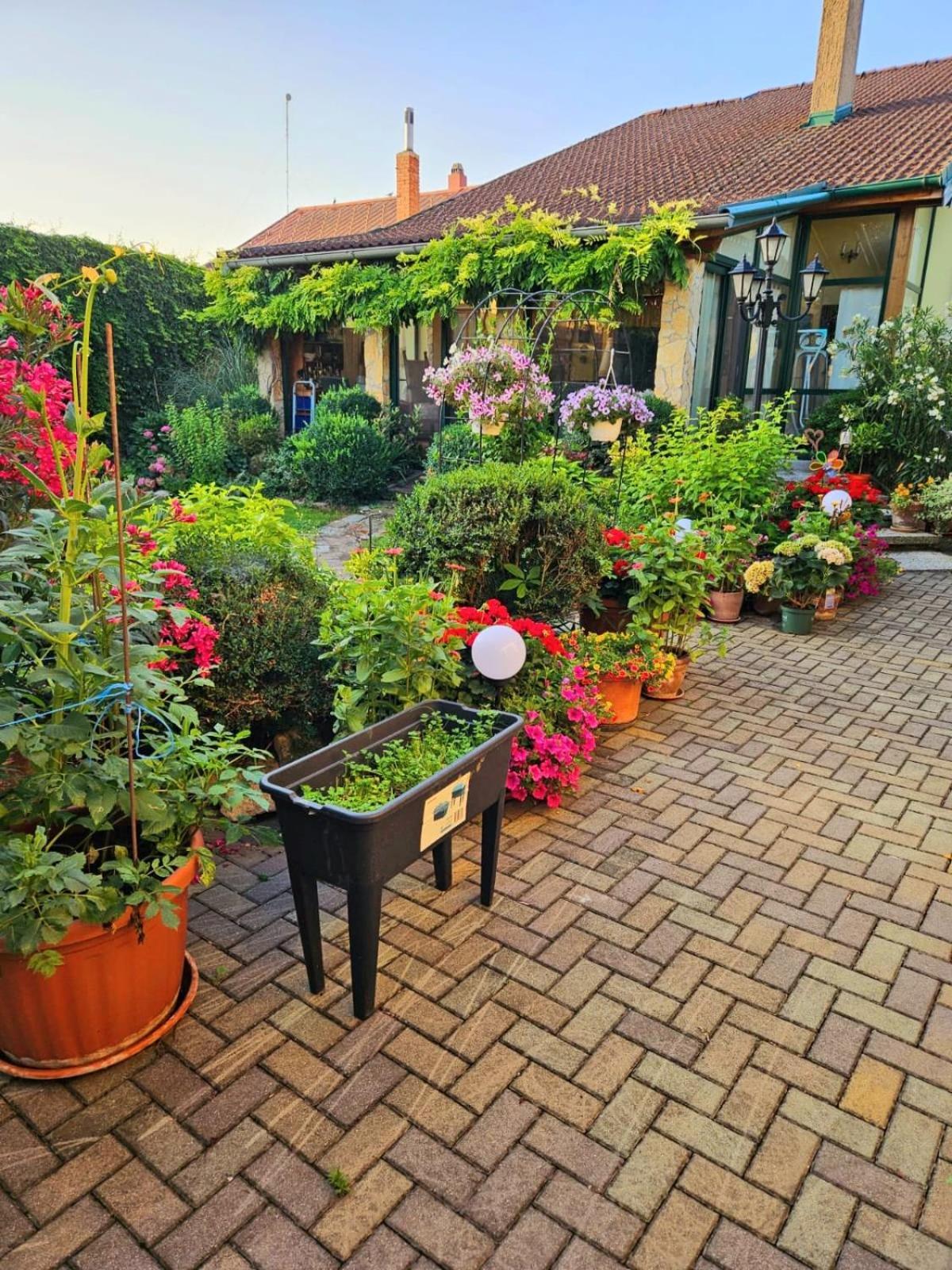 פמהגן Ferienwohnung Koppi מראה חיצוני תמונה