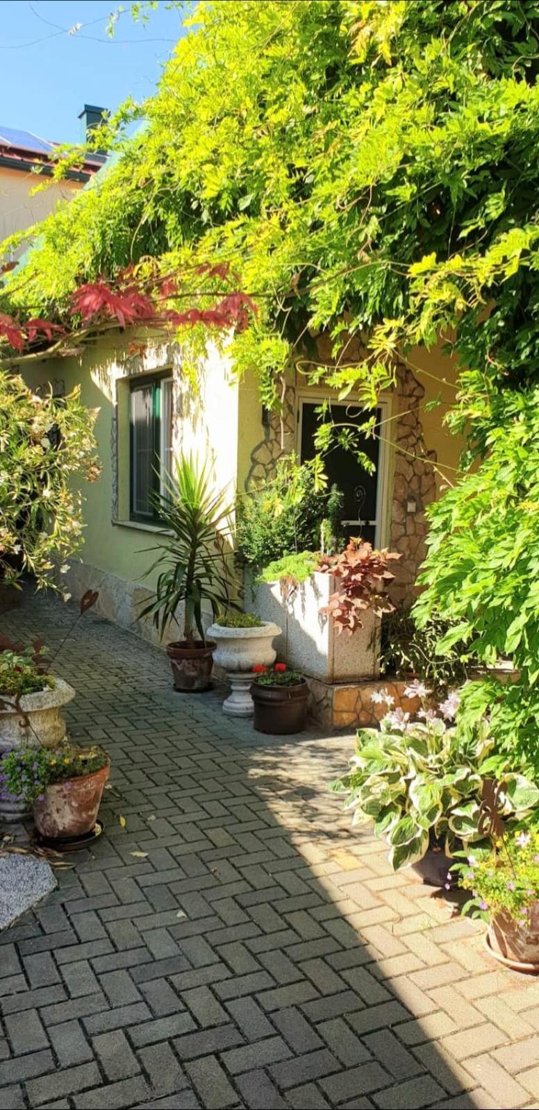 פמהגן Ferienwohnung Koppi מראה חיצוני תמונה