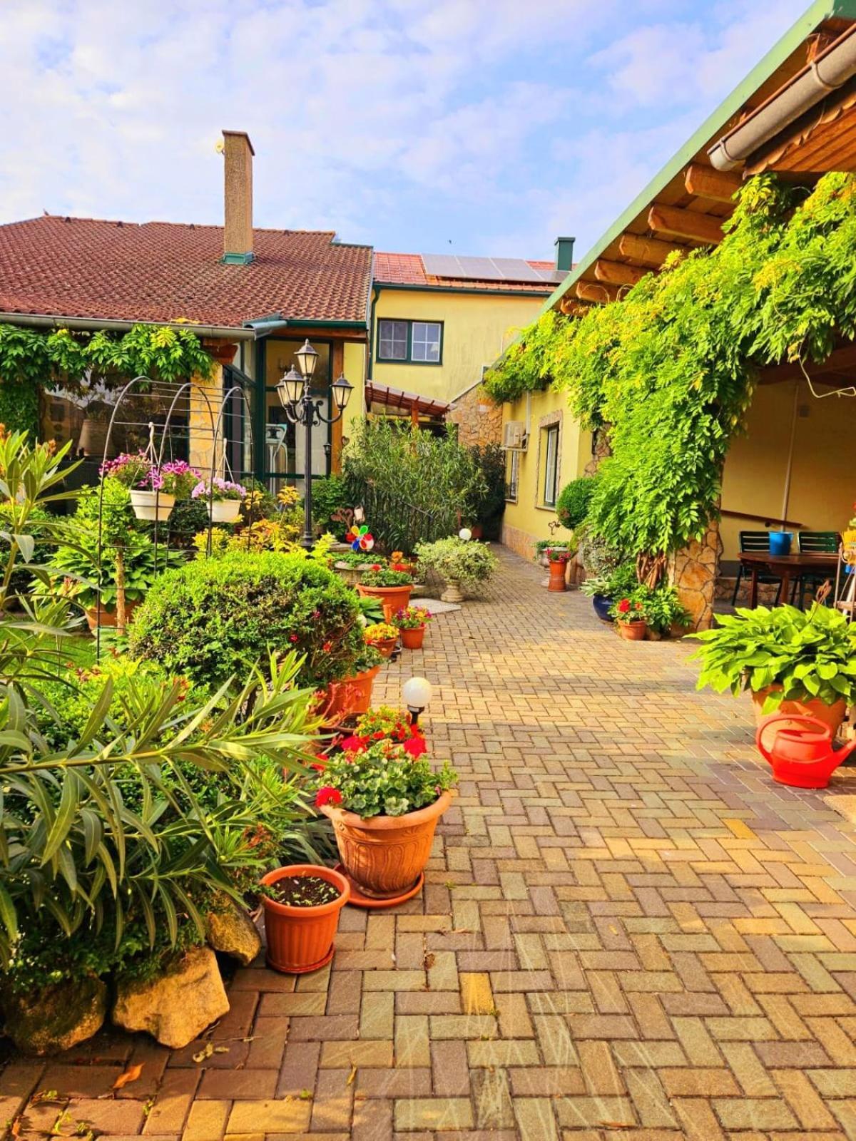 פמהגן Ferienwohnung Koppi מראה חיצוני תמונה