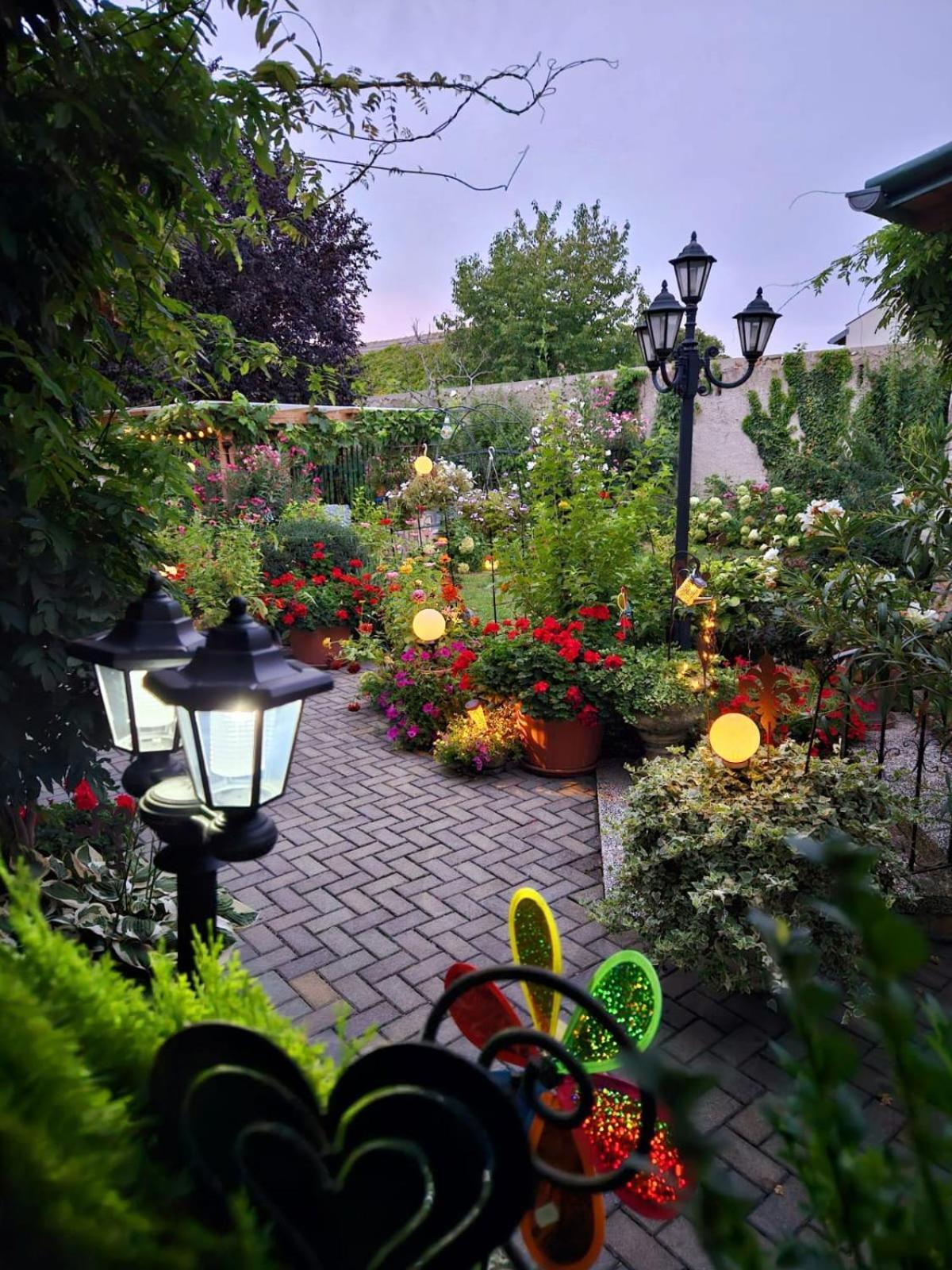 פמהגן Ferienwohnung Koppi מראה חיצוני תמונה
