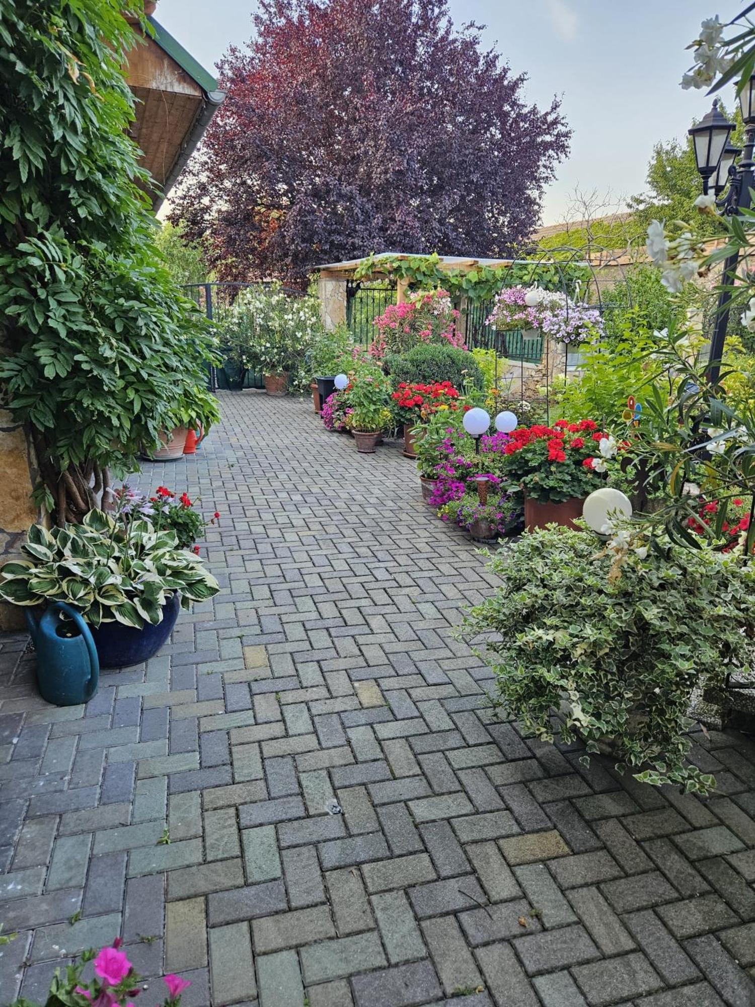 פמהגן Ferienwohnung Koppi מראה חיצוני תמונה